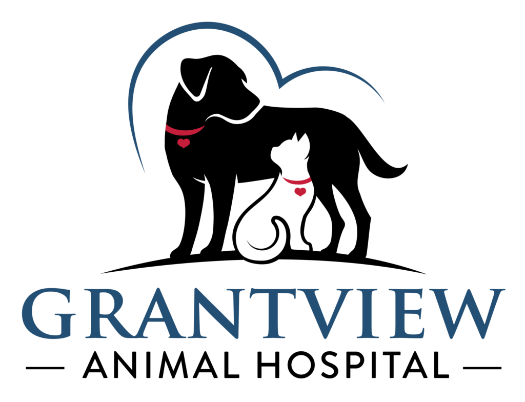 Veterinarians | Quality Pet Care For Life | St. Louis, MO